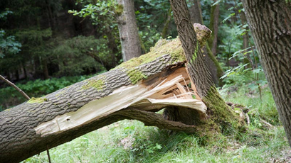 Haftung Sturmschäden